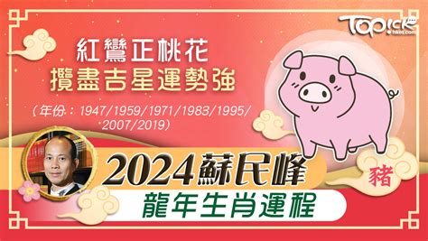 2024生肖豬|2024 肖豬流年運程 